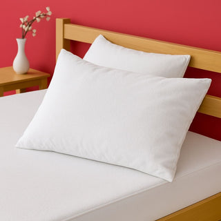 Pillow Protectors - Hugworth